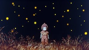 La tomba delle lucciole