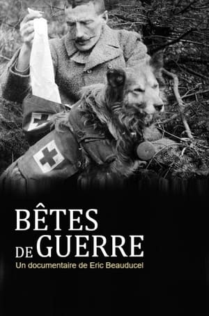 Póster de la película Bêtes de guerre