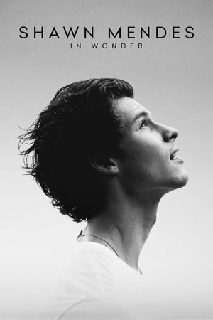 Póster de la película Shawn Mendes: In Wonder