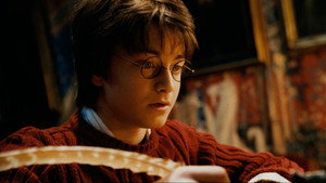 Harry Potter and the Chamber of Secrets