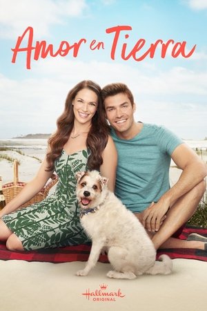 Póster de la película Love at the Shore