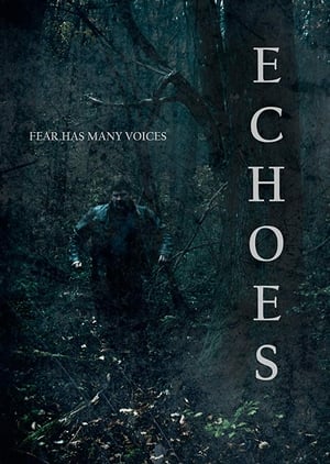 Póster de la película Echoes