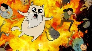 Gatitos explosivos latino 2024 1080p temporada 1