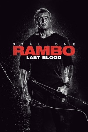 Póster de la película Rambo: Last Blood