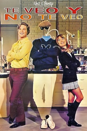 Póster de la película Te veo y no te veo