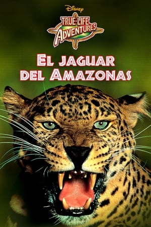 Póster de la película El jaguar del Amazonas