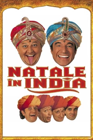 Póster de la película Natale in India