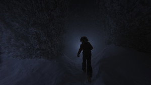 The Shining