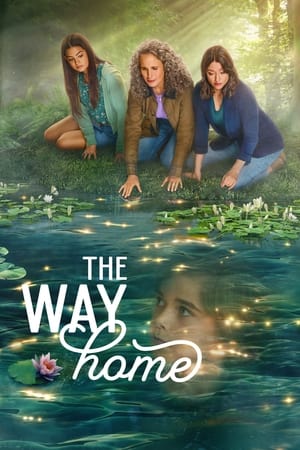 Póster de la serie The Way Home