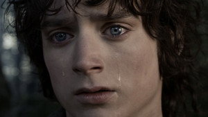 The Lord of the Rings: The Fellowship of the Ring