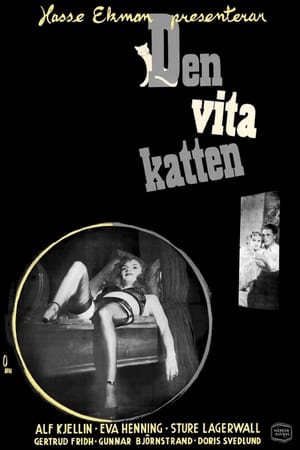 Póster de la película Den vita katten