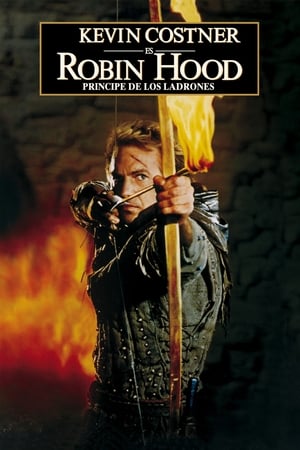 Póster de la película Robin Hood, príncipe de los ladrones