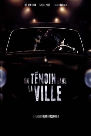 Un Témoin dans la ville Streaming VF VOSTFR