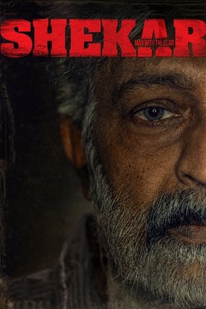 Póster de la película శేఖర్