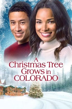 Póster de la película A Christmas Tree Grows in Colorado