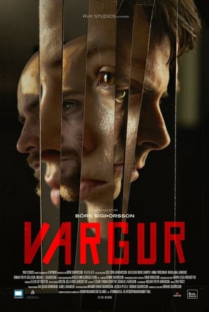 Póster de la película Vargur