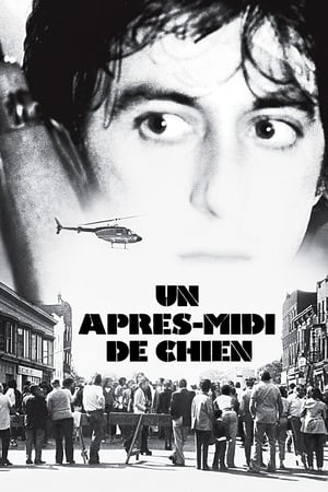 Un après-midi de chien Streaming VF VOSTFR