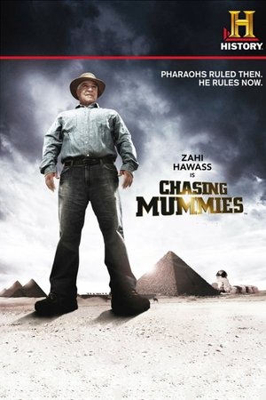 Póster de la serie Chasing Mummies