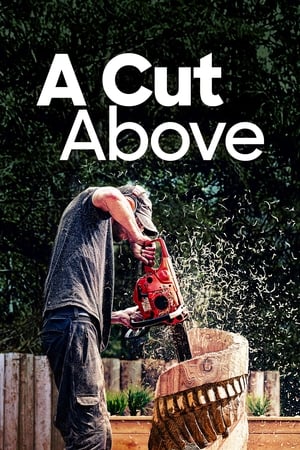 watch a cut above tv show poster
