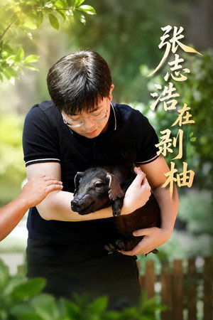 张志浩在剥柚
