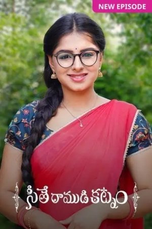watch seethe ramudi katnam tv show poster