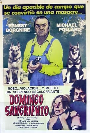 Póster de la película Domingo sangriento