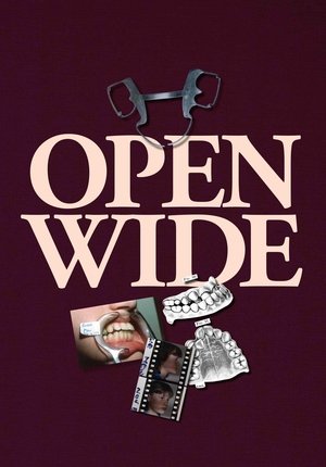 Póster de la película Open Wide
