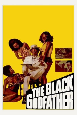 Póster de la película The Black Godfather