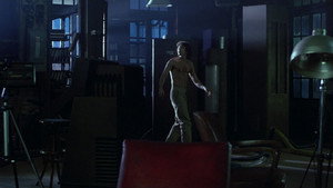 The Fly