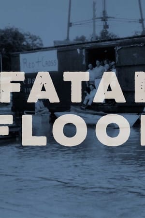 Póster de la película Fatal Flood