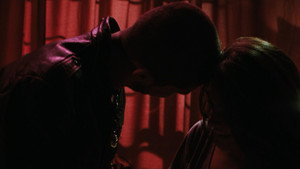 Amores perros
