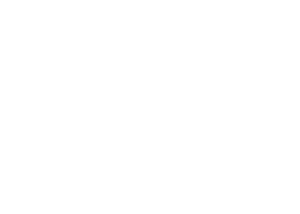 Steve Jobs