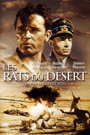 Les Rats du désert Streaming VF VOSTFR