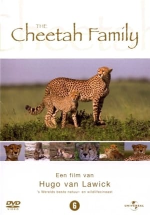 Póster de la película Cheetah Story