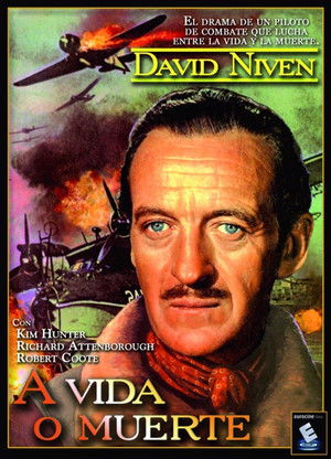 Póster de la película A vida o muerte