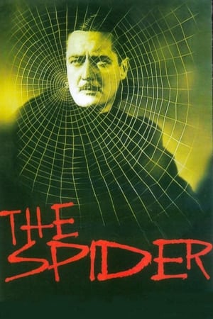 Póster de la película La araña