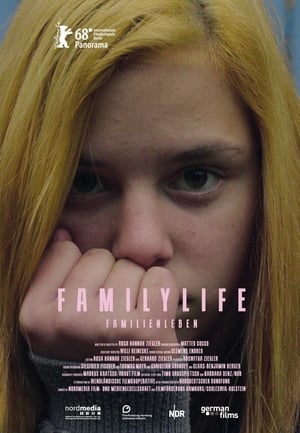 Póster de la película Familienleben