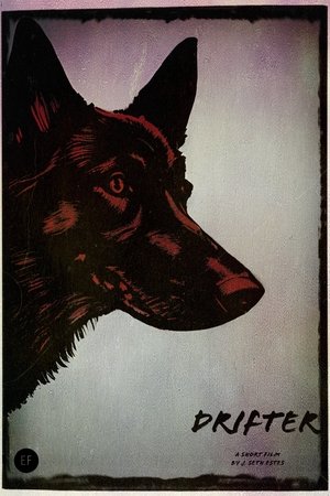 Póster de la película Drifter