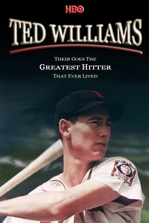 Póster de la película Ted Williams