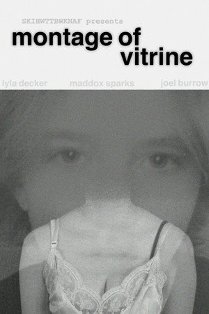 Montage of Vitrine