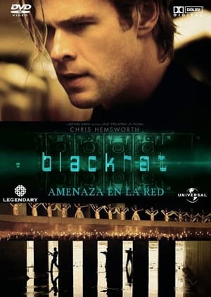 Póster de la película Blackhat: Amenaza en la red
