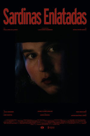 Default Netflix logo