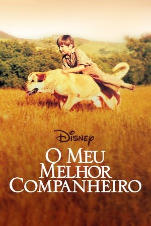 Filme