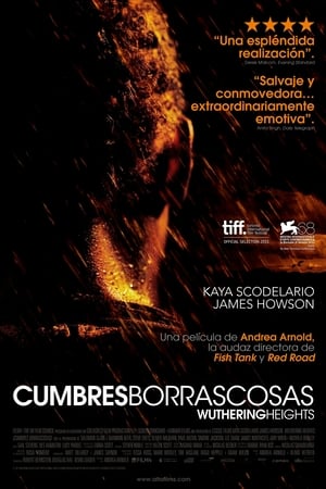 Póster de la película Cumbres borrascosas