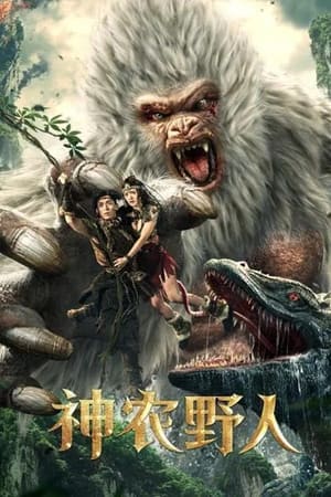 Póster de la película 神农野人