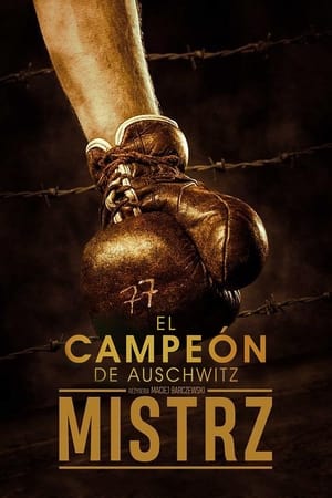 Póster de la película El campeón de Auschwitz