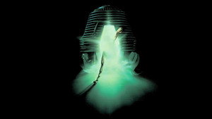 The Fly
