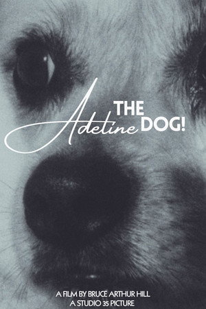 Adeline The Dog!