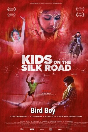 watch bird boy movie poster
