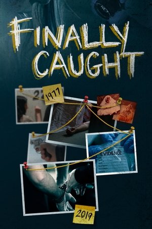 watch finally caught tv show poster